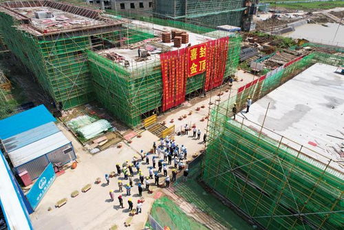 中铁上海局承建安徽供销枞阳农产品项目C16地块主楼顺利封顶，物资供销协同助推乡村振兴